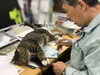 「社長が「邪魔しに来ないで＾＾」と言っていました」