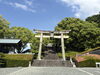 「【別子銅山記念館】新居浜市花だより🌸別子銅山記念館のさつき　2026年5月13日撮影」