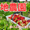 千歳市【菊地農園（旧 花昌 ）】※今シーズンは終了致しました。