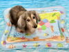 梅ちゃん「波とわんこ🌊」