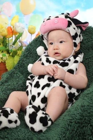 大人気の干支シリーズうしちゃんの着ぐるみです「七五三⭐︎赤ちゃんの100日の記念写真⭐︎」