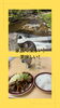 楽しい！美味しい！「あば村へ小旅行」