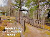 「大湯温泉街近くにある公園。バーベキューもできてドッグランあり、山野草の宝庫、大湯公園。」