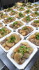 「牛すじコン大根」