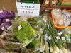 「春野菜」