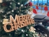大きなクリスマスツリー！「【札幌市西区・手稲区の自動車学校】　学園内がクリスマス仕様に！」