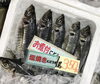 「魚魚市場鮮魚コーナーおすすめは「クロダイ」です♪」