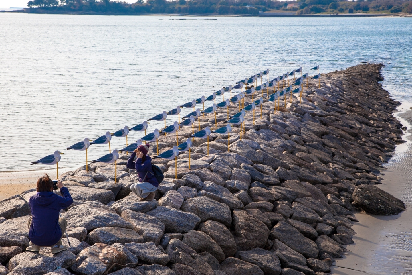 「カモメの駐車場」は大浦海水浴場の西側にあります。こちらも人気の撮影スポット