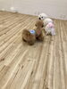 追いかけっこ中「ましゅまろ幼稚園　^ - ^」