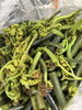 彩り豊かな山菜「春の山菜天ぷらと手打ちそばで味わう茅野市のそばランチ」