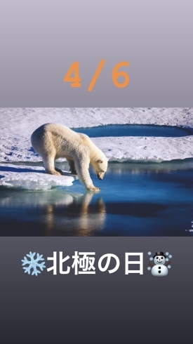 4/6北極の日「4月6日『✨北極の日✨』本日のおすすめmenuは！！ぶりかつ丼……¥680-(7枚入)です。ピア万代にお越しの際は是非食べに来て下さい。(  ｰ̀֊ｰ́ )✧」