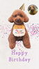 「Dog salon mofu mofu　余市町」