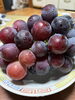 旅行「岡山くだもの王国🍇」