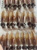 採れたて！新鮮こだわりの旬の魚介「移転前から通ってくださるお客様の言葉と、釣り物の魚に込めた想い」
