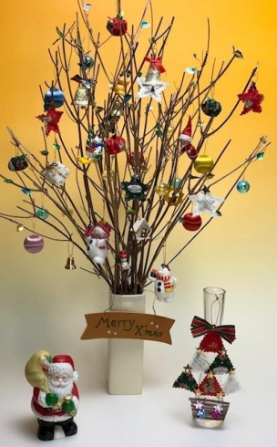 ホーリーバジルの枝で作ったクリスマスツリー「「ハーブティー」で心とからだを癒してほしい！」