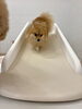 ニカちゃん「ましゅまろ幼稚園🐾」
