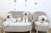 理玖くん♡じろうくん♡ぱんちゃん「ましゅまろ幼稚園🐾パートⅠ」
