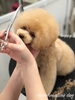 あぁ…  目が閉じてし、ま、い…そ、う「秋のオプションキャンペーン　^o^」