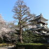 ■桜特集■日進市　岩崎城