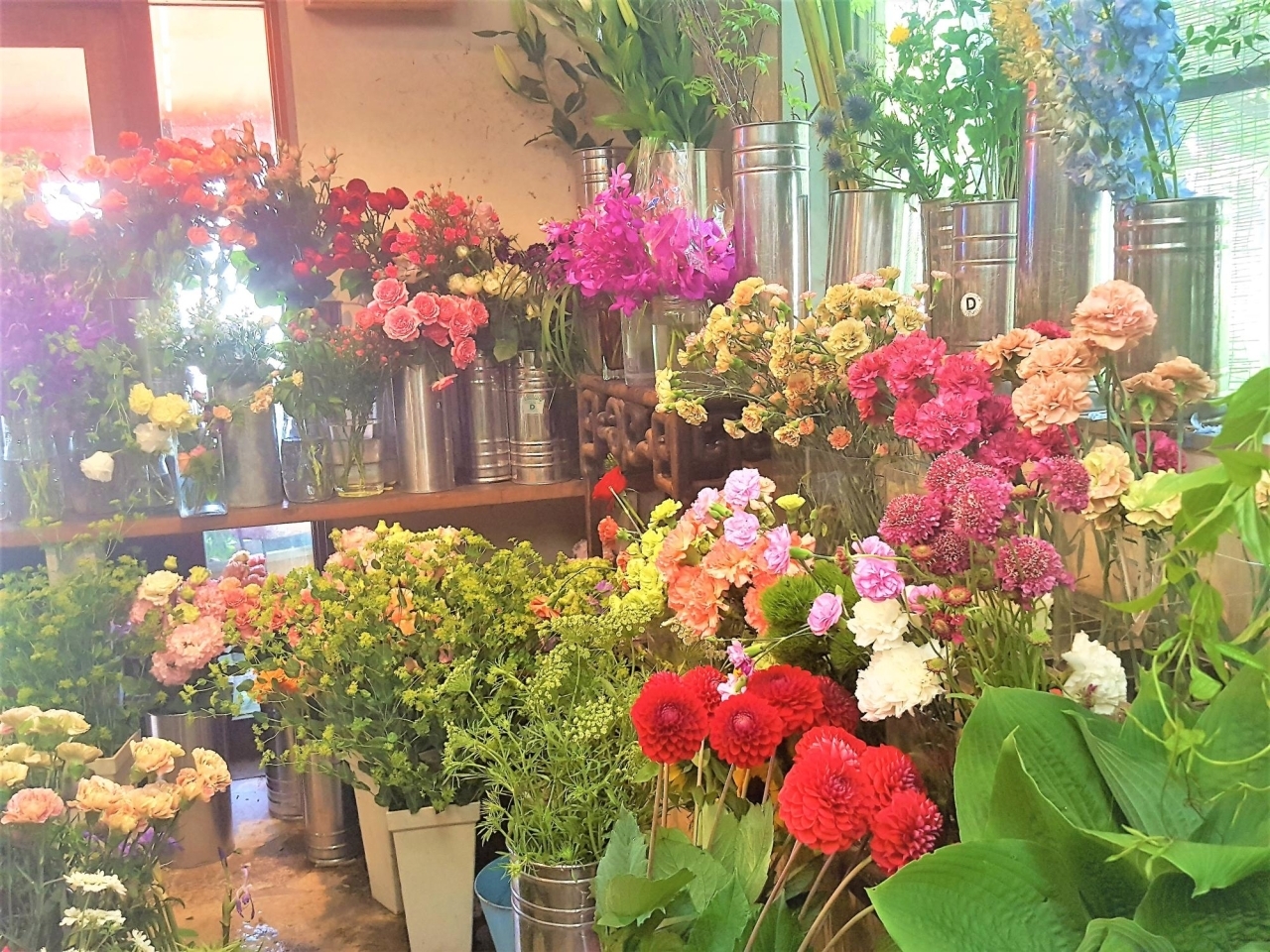 花を見て触って選べる 地元で愛される花屋 Pompon ポムポン まいぶれ春日井市 おすすめショップ まいぷれ 春日井市