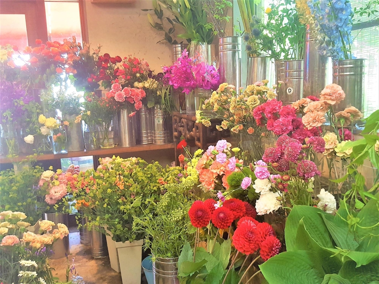 花を見て触って選べる 地元で愛される花屋 Pompon ポムポン まいぶれ春日井市 おすすめショップ まいぷれ 春日井市 花を見て触って選べる 地元で愛される花屋 Pompon ポムポン まいぶれ春日井市 おすすめショップ まいぷれ 春日井市