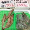 「魚魚市場鮮魚コーナーおすすめは「ビンチョウマグロ」です♪」