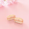 さくらぷっちい「期間限定　さくらぷっちい【伊那市のお土産、ケーキ、スイーツといえばちいずくっきい】」