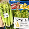 「地元の野菜や果物が並びはじめました！道の駅木曽福島」