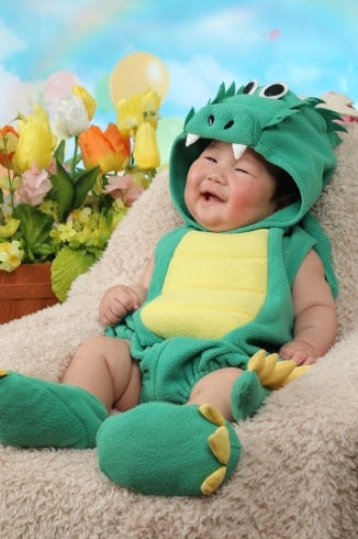 ドラゴンちゃんの着ぐるみです「誕生日⭐︎七五三⭐︎振袖撮影⭐︎赤ちゃんの記念写真⭐︎」
