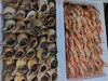 「📣本日入荷のお魚情報🐟」