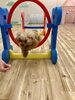 Ｉきなこちゃん　オヤツ見ながら跳ぶっ　笑「ましゅまろ幼稚園　^ - ^」