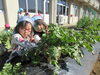 みてみて！この大根、双子みたい♡「☀新年明けまして おめでとうございます☀」
