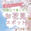 【2026年】和歌山で楽しめるお花見スポットまとめ｜和歌山市・岩出市・紀の川市・海南市