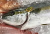 「魚魚市場鮮魚コーナーおすすめは「ボイルタコ」です♪」