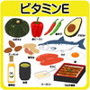 ビタミンEを含む食品「美容皮膚科のドクターTと看護師Nの対話 ― 第6回「ビタミンAとE：細胞を守る“再生と防御のダブルビタミン”」」