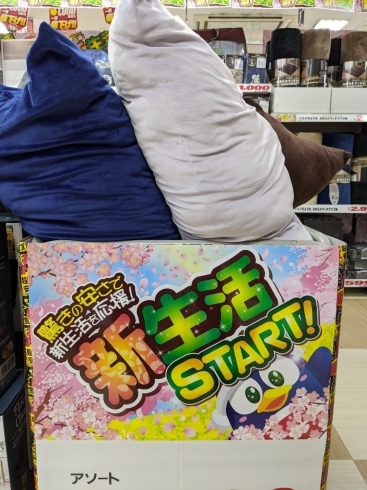 「新生活STARTフェア！　楽々ビーズクッション、ラクチン座椅子が激安！驚安！　」