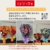 「【泉佐野市、貝塚市、熊取町、日根野】でお住まいの方でピアノ、ダンス、バレエ、演奏会、演劇、カラオケ大会などの発表会用の花束を贈りたい方にオススメの花屋りっちゅ情報」