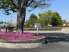 新浜公園