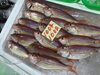 「魚魚市場鮮魚コーナーおすすめは「シマイサキ」です♪」