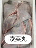カスベ「おはよう御座います」
