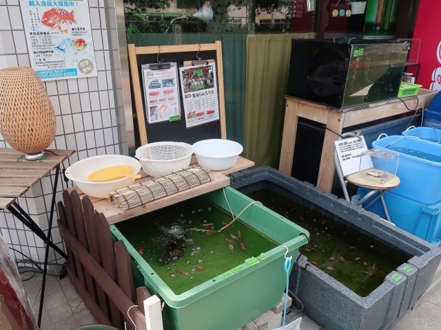 改良メダカ専門店 堀切めだか 新店特集 葛飾区のニューオープンのお店 まいぷれ 葛飾区 改良メダカ専門店 堀切めだか 新店特集 葛飾区のニューオープンのお店 まいぷれ 葛飾区