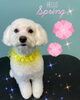 「可愛い子ちゃん♡ Dog salon mofu mofu余市町」