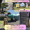「4/1ご縁に恵まれた１日に感謝いたします♪」