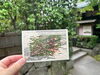 「参加無料！柴又おもてなしスタンプラリーを楽しもう😊重ね捺しスタンプを重ねると昔の柴又の風景が完成します🎁先着500名にタッチペンプレゼント✍️［7月18日～8月31日まで・9時30分～16時30分⭐柴又川甚まちなみ館オープンイベント］」