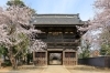 勝願寺にでかけよう