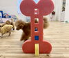 さらんちゃんジャンプ😃「ましゅまろ幼稚園🐾」