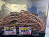 「2/11(水)から超特価スタート❗️🦀」