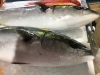 「魚魚市場鮮魚コーナーおすすめは「ワタリガニ」です♪」