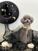 うちの子 NoNo「Happy Halloween🎃」