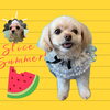 「Dog salon mofu mofu　余市町」